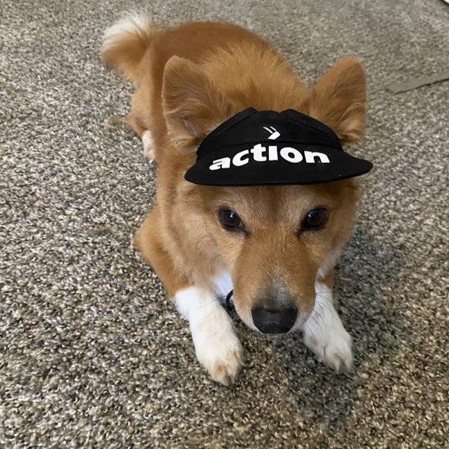 Pet Cap