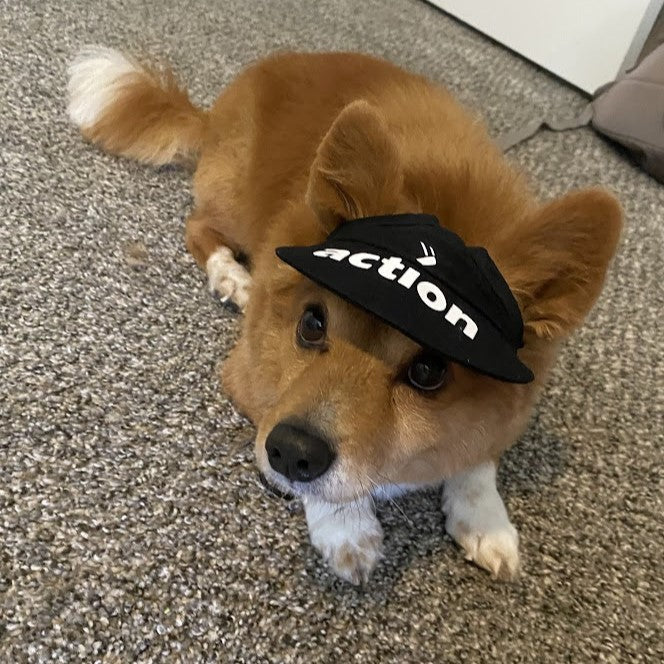 Pet Cap