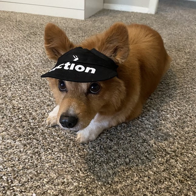 Pet Cap